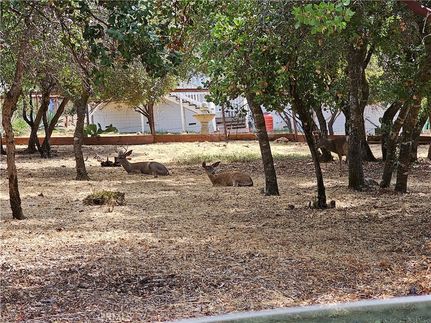 Farm and Ranch for sale in Lake County, California