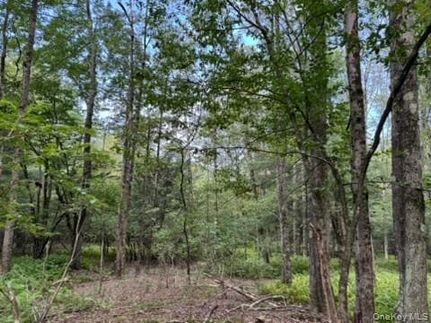Undeveloped Land for sale in Sullivan County, New York