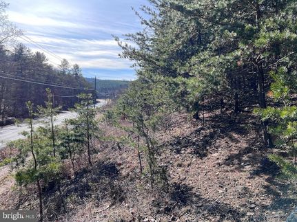Undeveloped Land for sale in Morgan County, West Virginia