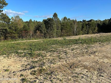 Undeveloped Land for sale in Campbell County, Tennessee