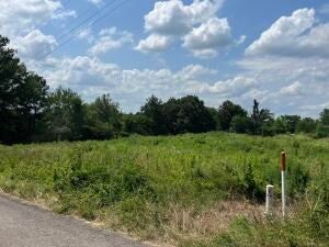 Undeveloped Land for sale in Yell County, Arkansas