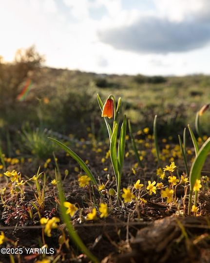 Undeveloped Land for sale in Yakima County, Washington