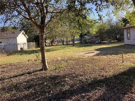 Undeveloped Land for sale in Jim Wells County, Texas
