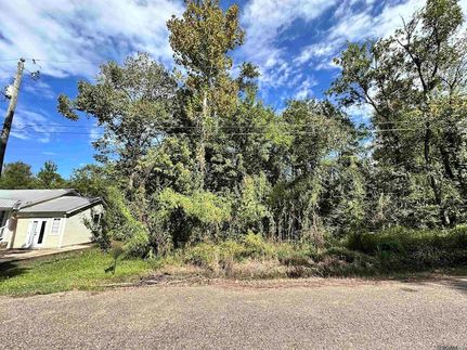 Lakefront Property for sale in Ascension Parish, Louisiana