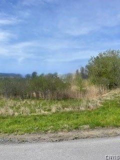 Undeveloped Land for sale in Oneida County, New York