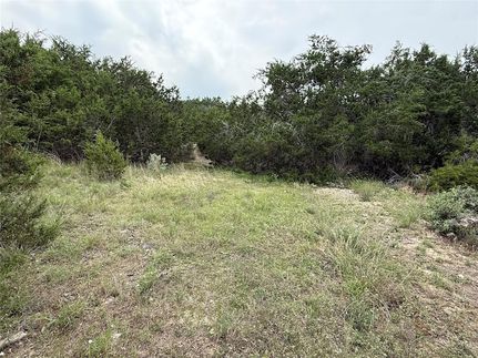 Undeveloped Land for sale in Travis County, Texas