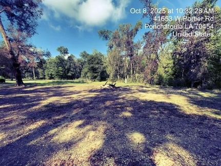Undeveloped Land for sale in Tangipahoa Parish, Louisiana
