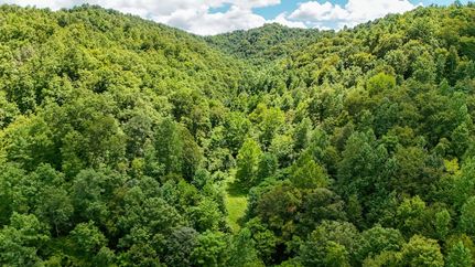 Undeveloped Land for sale in Knox County, Kentucky