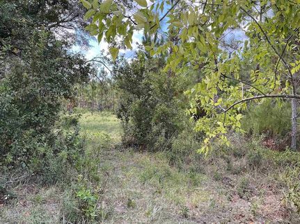 Undeveloped Land for sale in Madison County, Florida