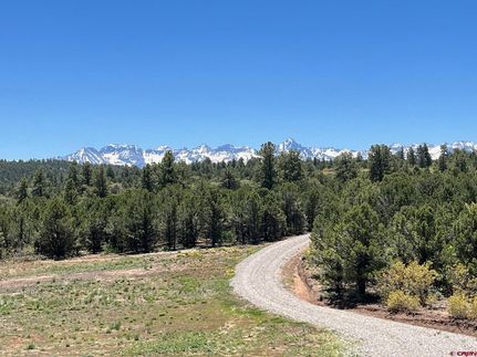 Timberland Property for sale in Ouray County, Colorado