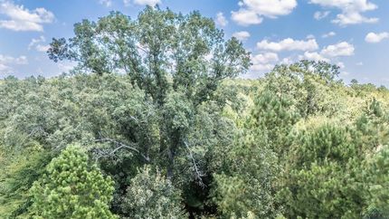 Undeveloped Land for sale in Marion County, Texas