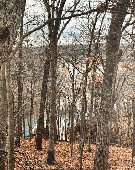 Undeveloped Land for sale in Delaware County, Oklahoma