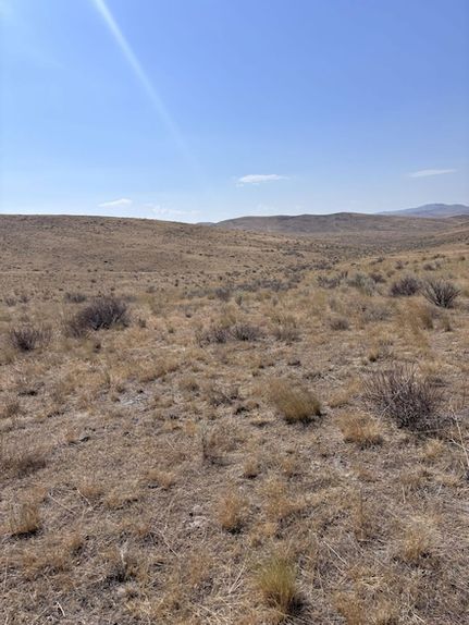 Undeveloped Land for sale in Elko County, Nevada