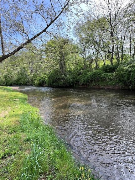 Undeveloped Land for sale in Carroll County, Virginia