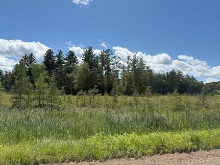 Undeveloped Land for sale in Isanti County, Minnesota