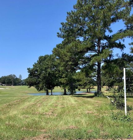 Undeveloped Land for sale in Pulaski County, Georgia