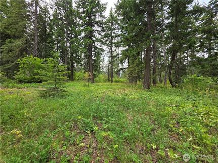 Undeveloped Land for sale in Kittitas County, Washington