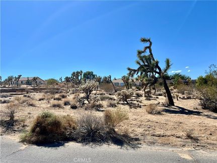 Undeveloped Land for sale in San Bernardino County, California