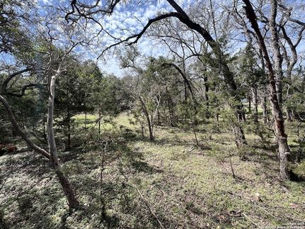 Undeveloped Land for sale in Comal County, Texas