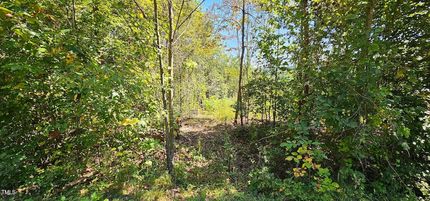 Undeveloped Land for sale in Wilkes County, North Carolina