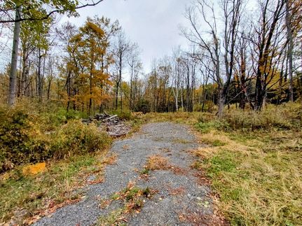 Timberland Property for sale in Fulton County, New York