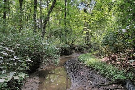 Undeveloped Land for sale in Piatt County, Illinois