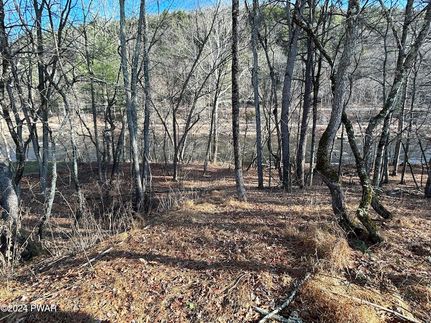 Timberland Property for sale in Pike County, Pennsylvania