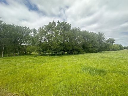 Undeveloped Land for sale in Van Zandt County, Texas
