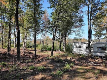 Undeveloped Land for sale in Washington County, Vermont