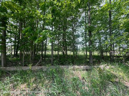 Undeveloped Land for sale in Clinton County, Michigan