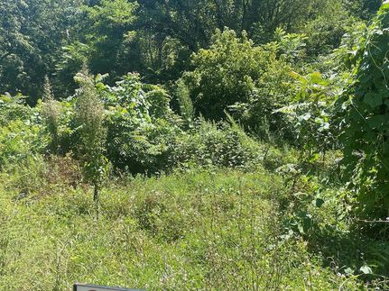 Undeveloped Land for sale in Tazewell County, Virginia