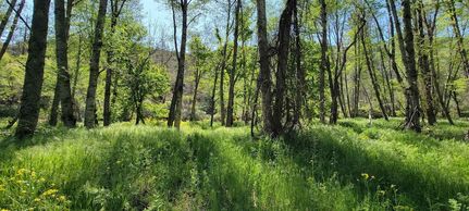 Timberland Property for sale in Siskiyou County, California