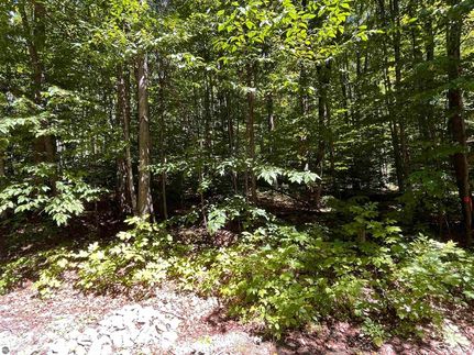 Farm and Ranch for sale in Antrim County, Michigan