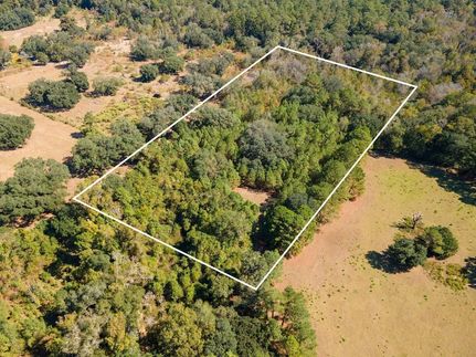 Undeveloped Land for sale in Leon County, Florida