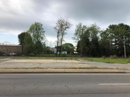 Undeveloped Land for sale in Washington County, Virginia