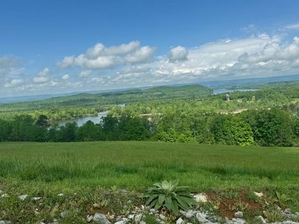 Timberland Property for sale in Meigs County, Tennessee