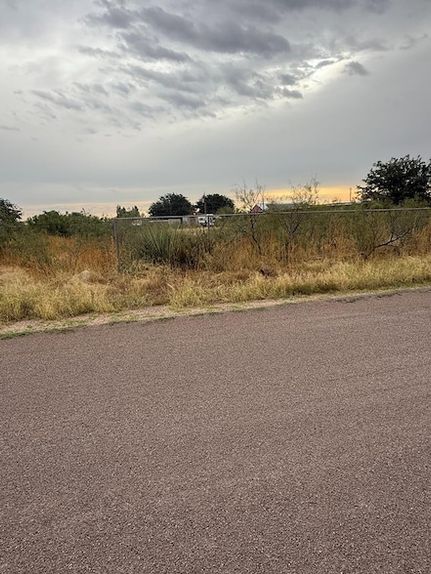 Undeveloped Land for sale in Ector County, Texas