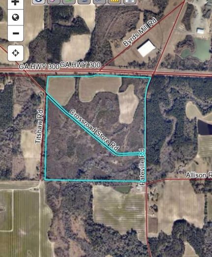 Undeveloped Land for sale in Crisp County, Georgia