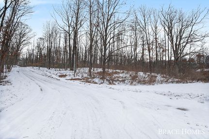Undeveloped Land for sale in Mecosta County, Michigan