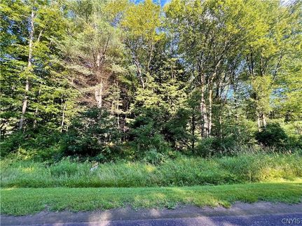 Undeveloped Land for sale in Oneida County, New York