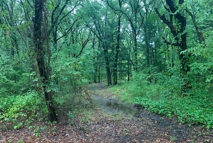 Undeveloped Land for sale in Hunt County, Texas