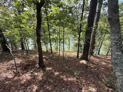 Recreational Property for sale in Benton County, Arkansas