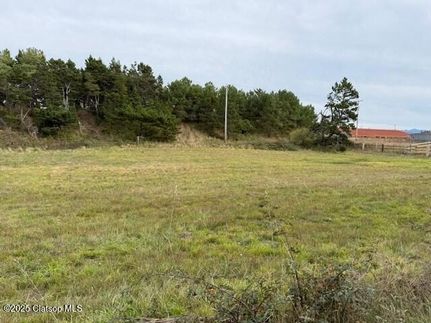 Undeveloped Land for sale in Clatsop County, Oregon