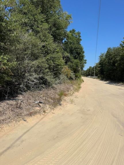 Undeveloped Land for sale in Walton County, Florida