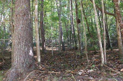 Undeveloped Land for sale in Gilmer County, Georgia