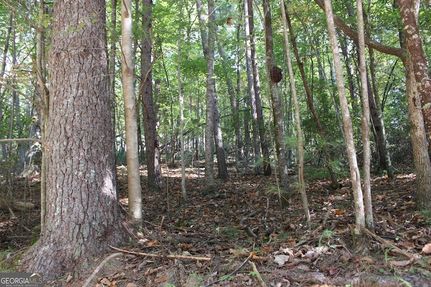Farm and Ranch for sale in Gilmer County, Georgia