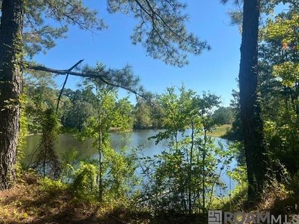 Undeveloped Land for sale in East Feliciana Parish, Louisiana
