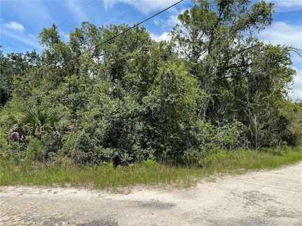 Undeveloped Land for sale in Pasco County, Florida
