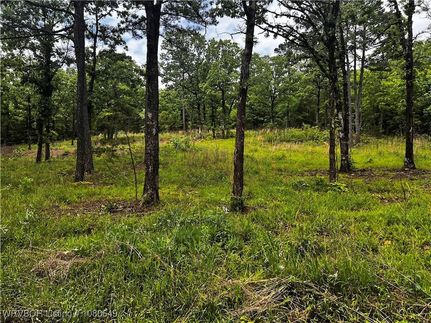 Undeveloped Land for sale in Le Flore County, Oklahoma