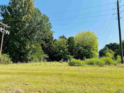 Undeveloped Land for sale in Upshur County, Texas